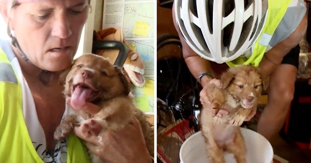 Cane salvato da una ciclista