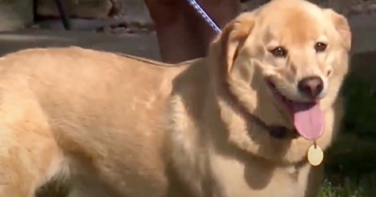 Cleo percorre 60 miglia e riesce a trovare la casa dove viveva prima con la sua famiglia
