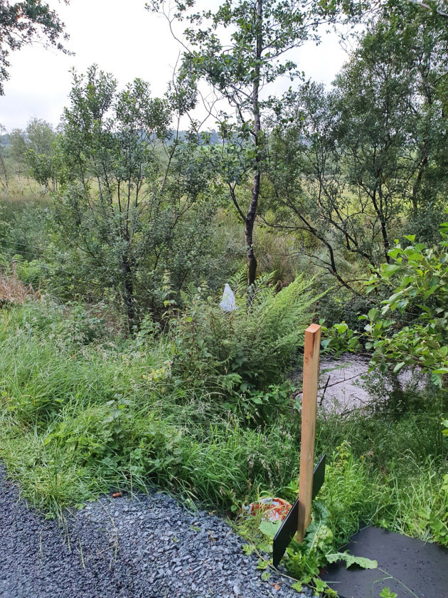 Cani abbandonati in un sacchetto