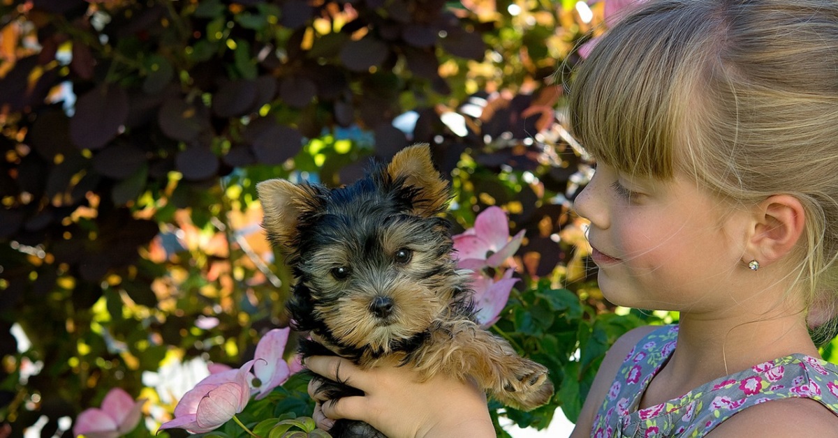 Il cane e la bambina