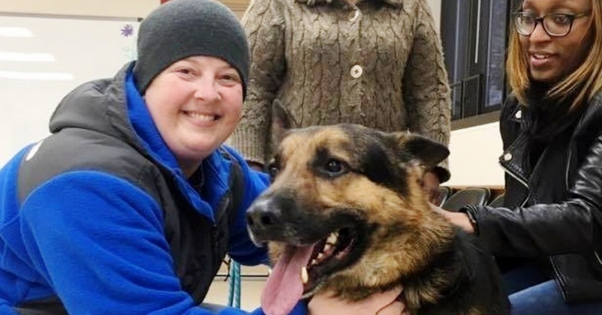 Harley, il cane rapito nel cortile della sua casa: ritrovato dopo 3 anni