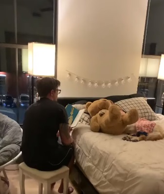 Mettere a letto un cane
