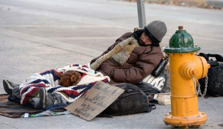 Homeless e cani in strada