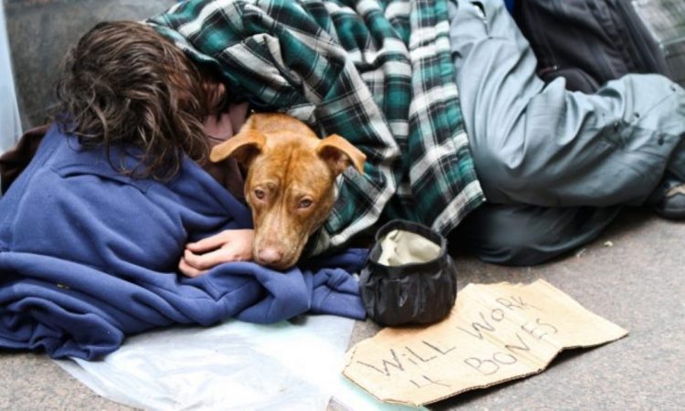 Uomo  senza una casa con cane