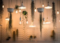 light design