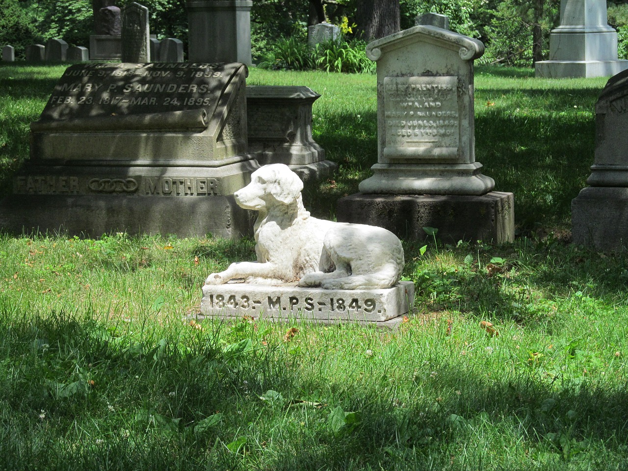 Il cimitero per cani domestici