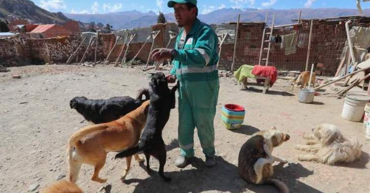 Miguel Angel Condori, dopo un grave incidente, ha deciso di aiutare tutti gli animali abbandonati