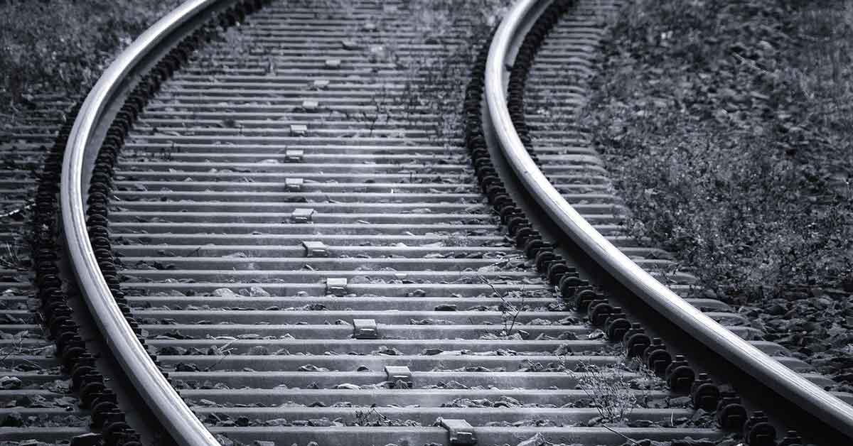 Dog tied to the train tracks