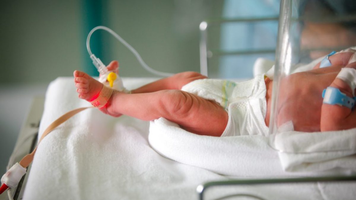 Ospedale di Gallarate: nati 14 bambini 