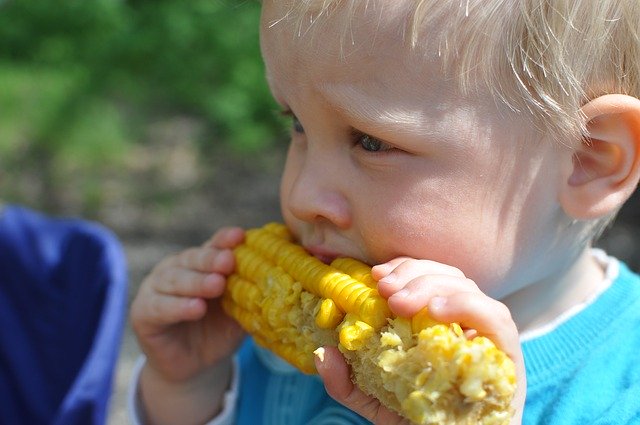 Bocconi di cibo per bambini