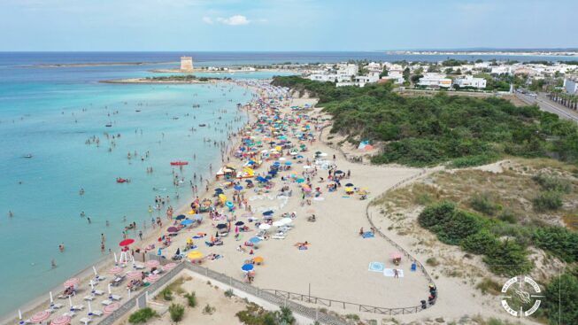 Porto Cesareo, trovato nido di tartaruga 