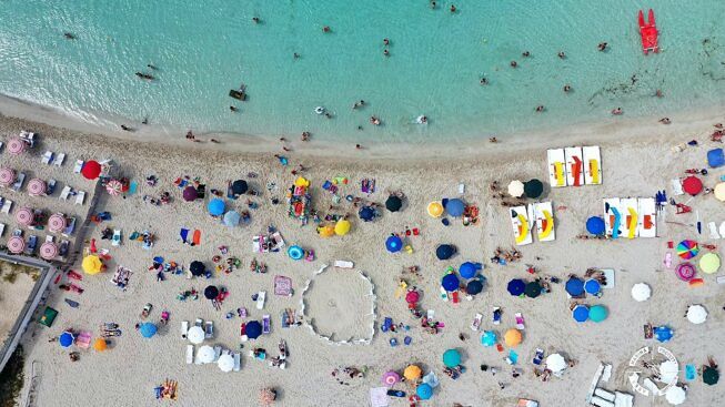 Porto Cesareo, trovato nido di tartaruga