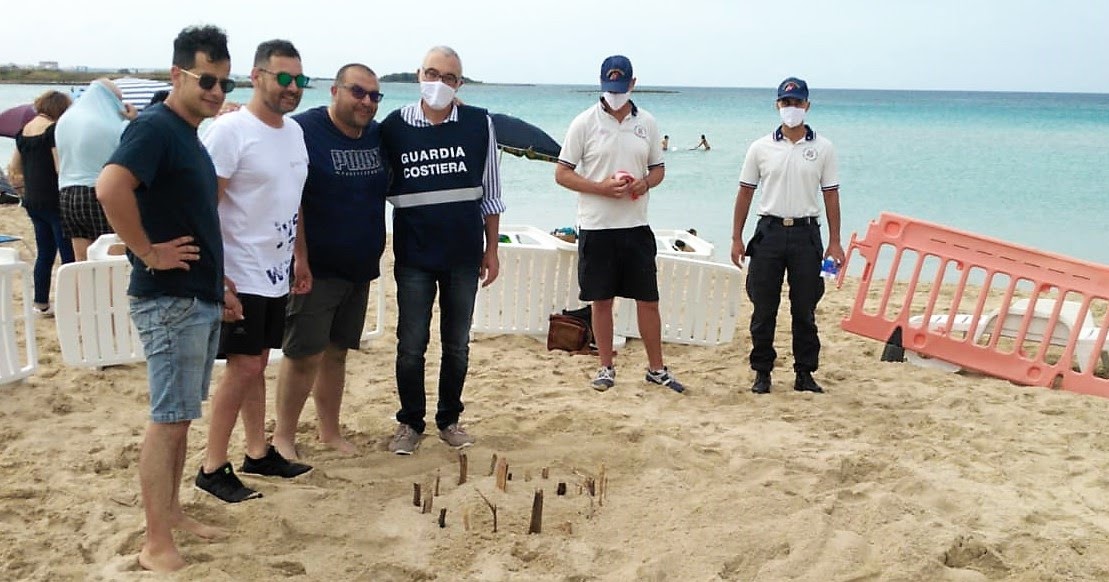 Porto Cesareo, trovato nido di tartaruga