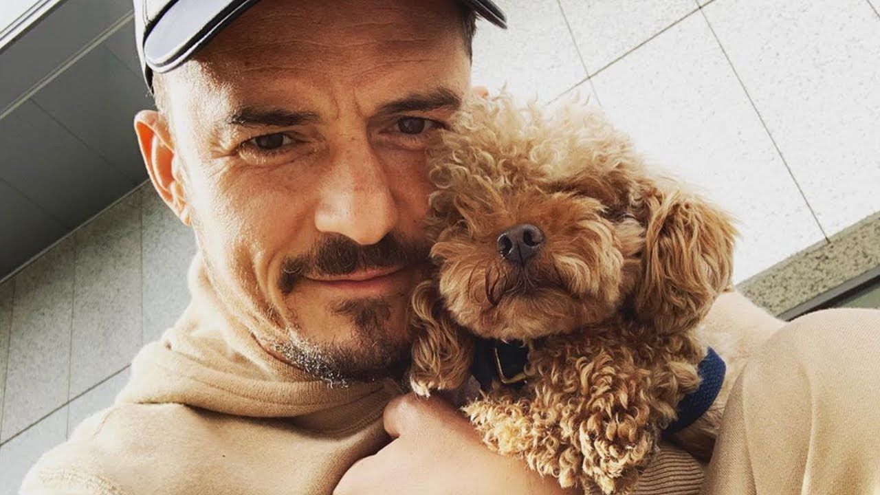 Una ricompensa per il cane di Orlando Bloom