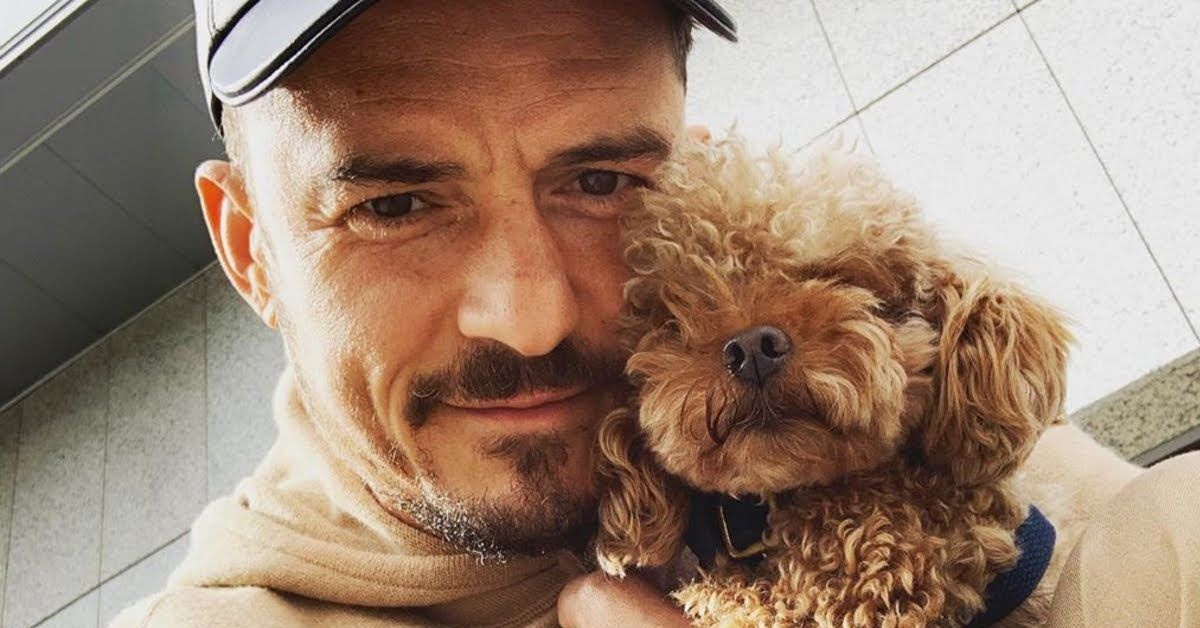 Orlando Bloom ha offerto una ricompensa a chi ritrova il suo cane: “si è perso”