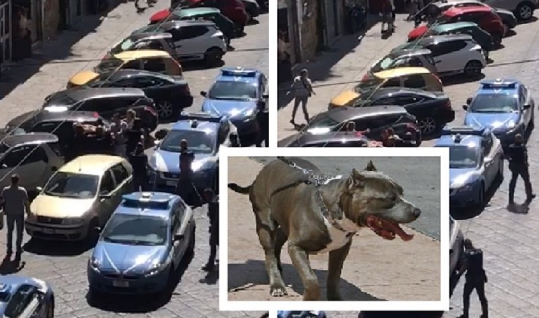 Rinviato a giudizio il poliziotto di Napoli