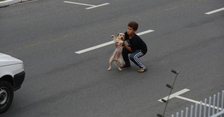 Ragazzo in strada per salvare il cane