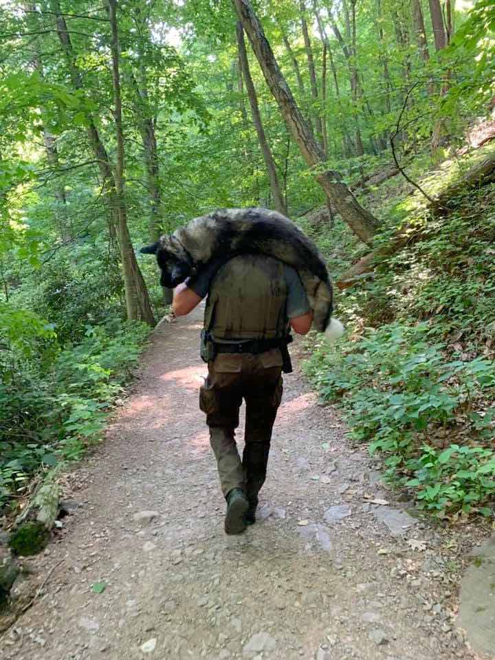 Cane disidratato salvato da un ranger