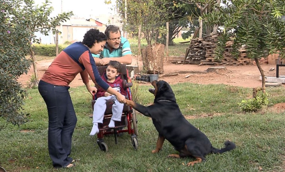 La famiglia di Quiron il Rottweiler