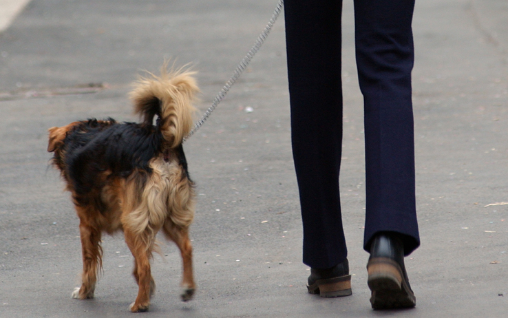 Donna ruba il cane ad un signore