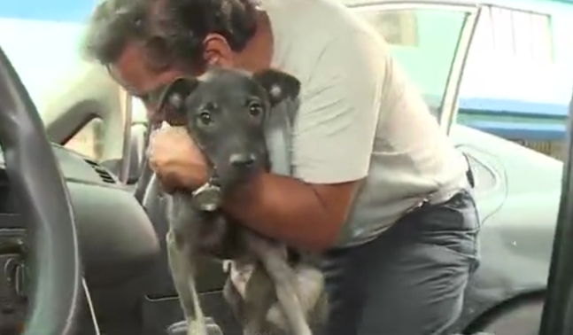 L'abbraccio del proprietario con il cane