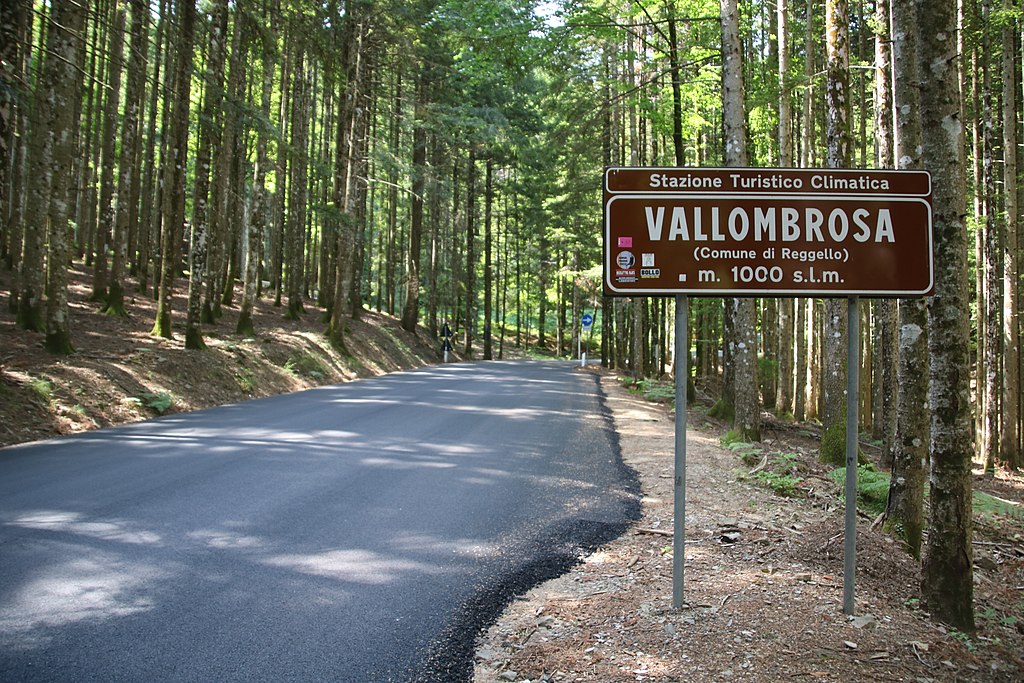 Viaggio per gli amanti della natura: qui c'è l'albero più alto d'Italia