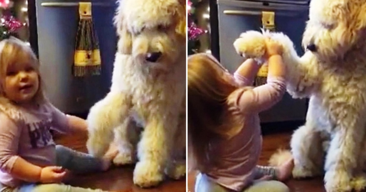 La missione di una bambina per addestrare il suo cane: il divertente video di Hadley e Gauge
