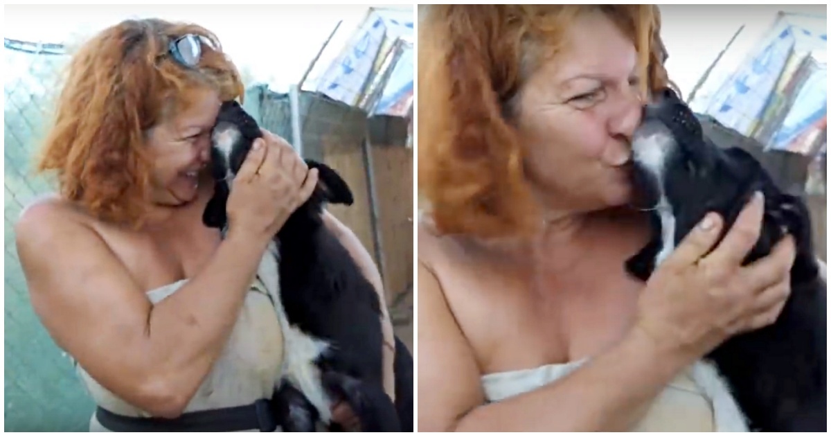 Katerina Pesonis e il sogno di creare un rifugio