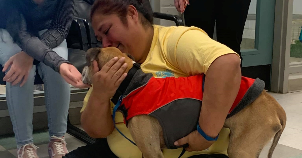 La storia di Lela, la cagnolina che ritrova la sua mamma dopo 10 anni