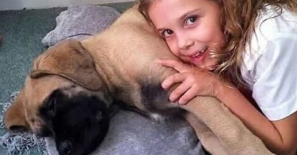Millie Bobby Brown e la perdita del suo amato cagnolino Dolly