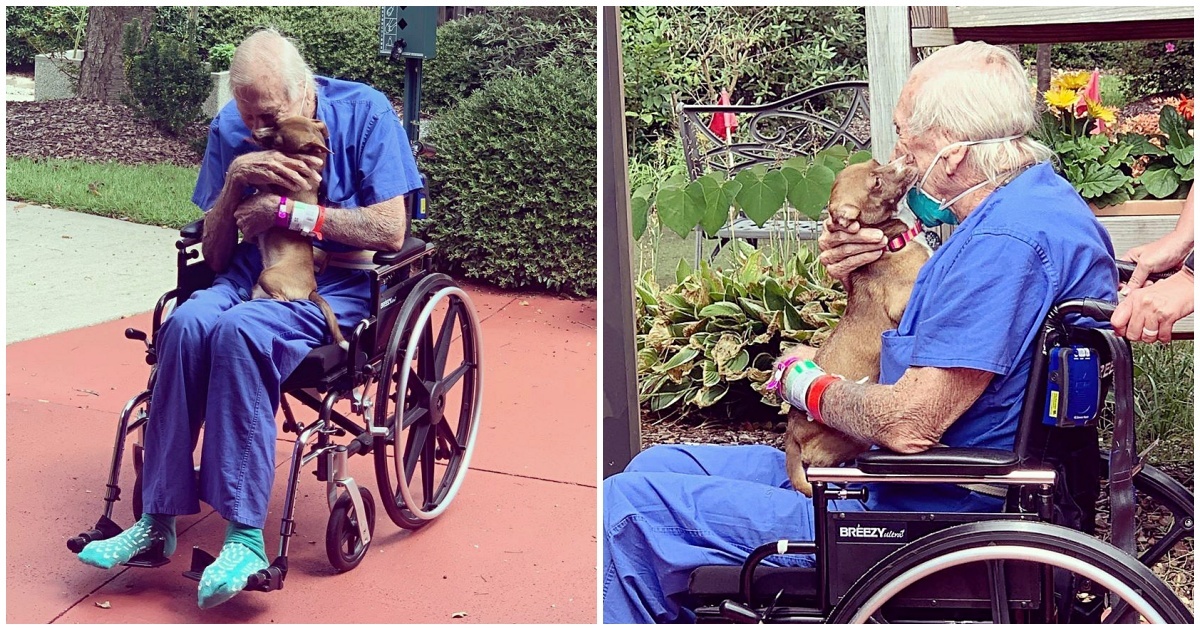 La meravigliosa riunione di Rudy Armstrong con il suo amico a quattro zampe