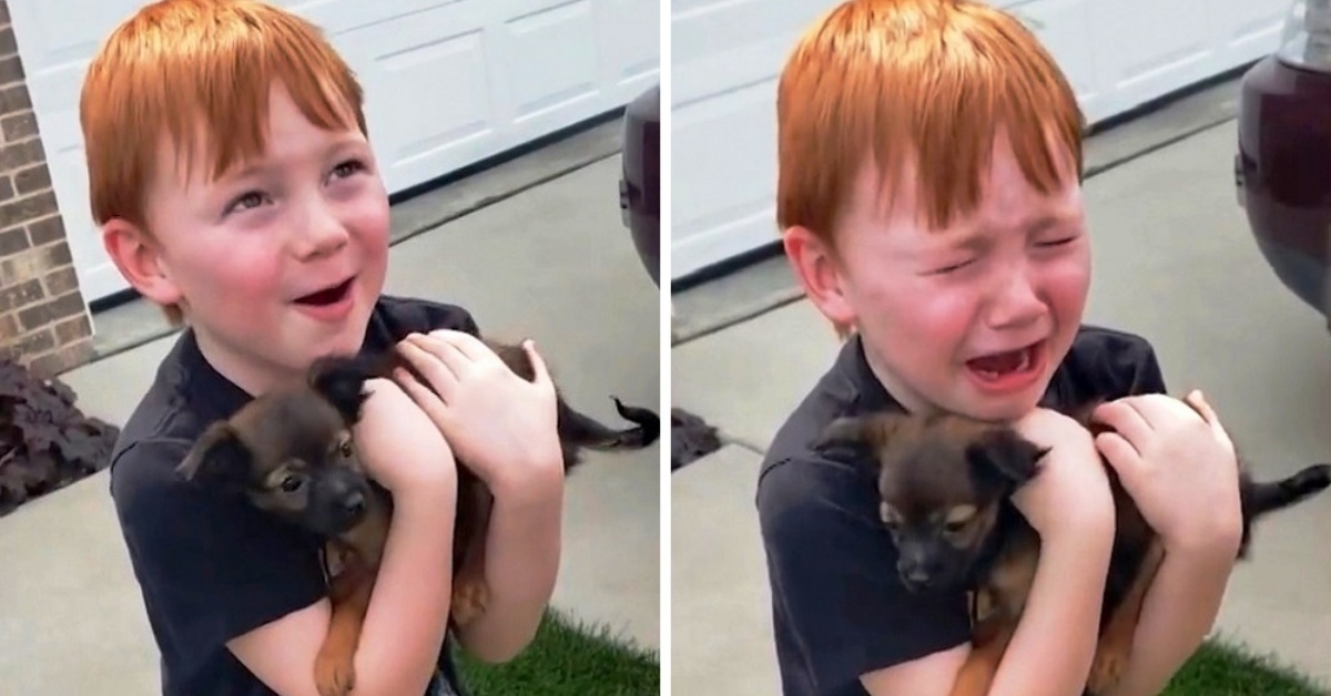 Xander Mellor stava risparmiando per comprare un cucciolo: la nonna decide di fargli una sorpresa