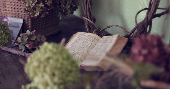 amo leggere