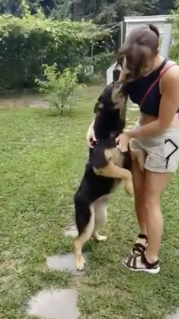 Bear e Ana