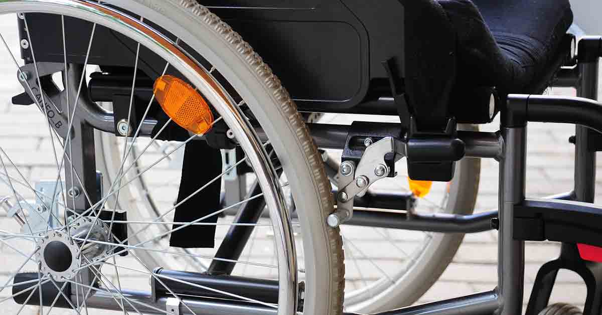 Cane aiuta il proprietario in sedia a rotelle