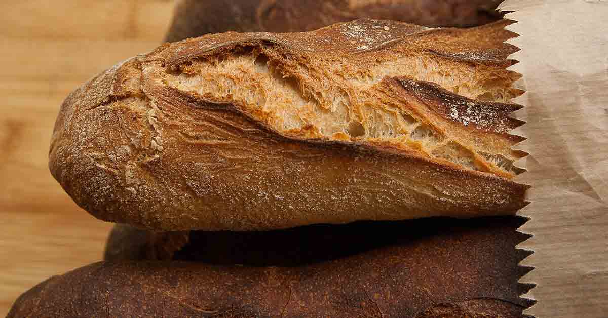 Cane dà il pane al gatto affamato