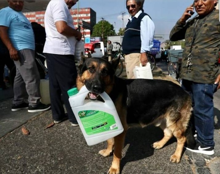 La tanica per fare benzina