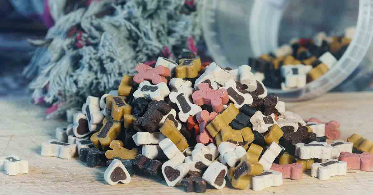 Cane mangia il cibo nel negozio, proprietario fa finta di non vederlo
