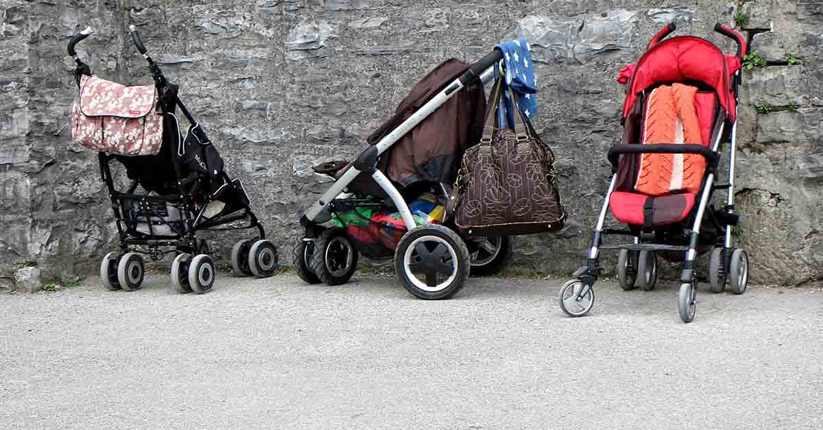 Cane nel passeggino in girro