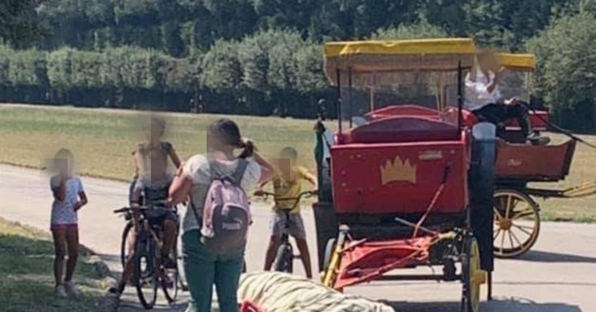 Reggia di Caserta, morto cavallo sotto gli occhi dei presenti: sfinito dal caldo