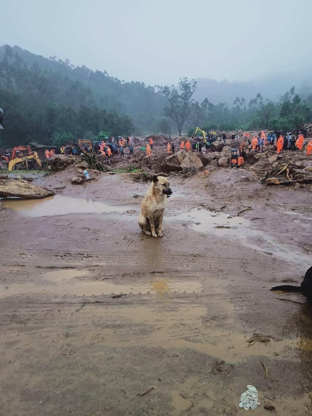 Le alluvioni in India