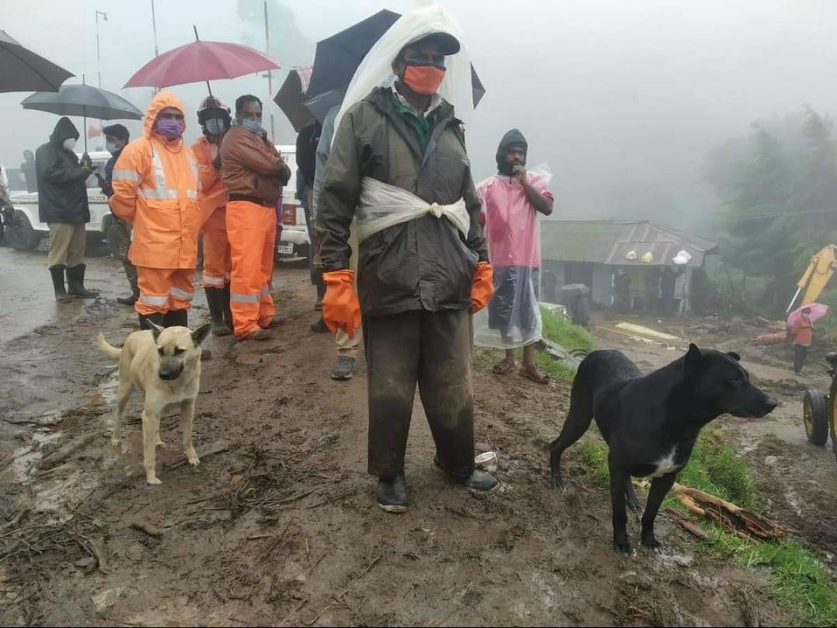 Cani accanto ai soccorritori