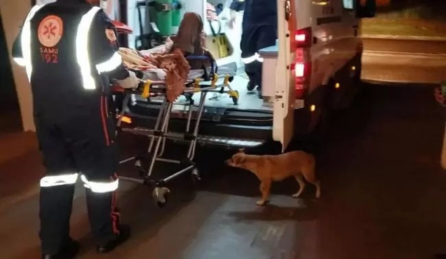 Proprietario incosciente trasportato in ospedale