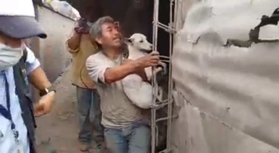 Ignacio López Benítez e il suo cane