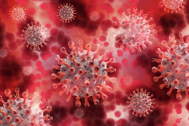 Test per il Coronavirus