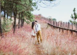 Matrimonio o convivenza