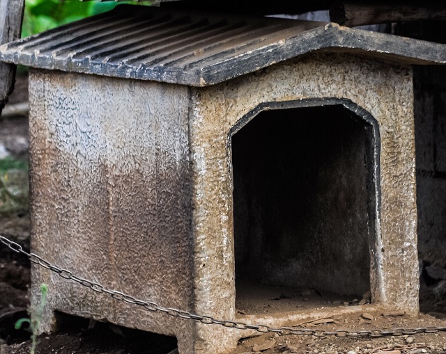 La cuccia vuota del cane