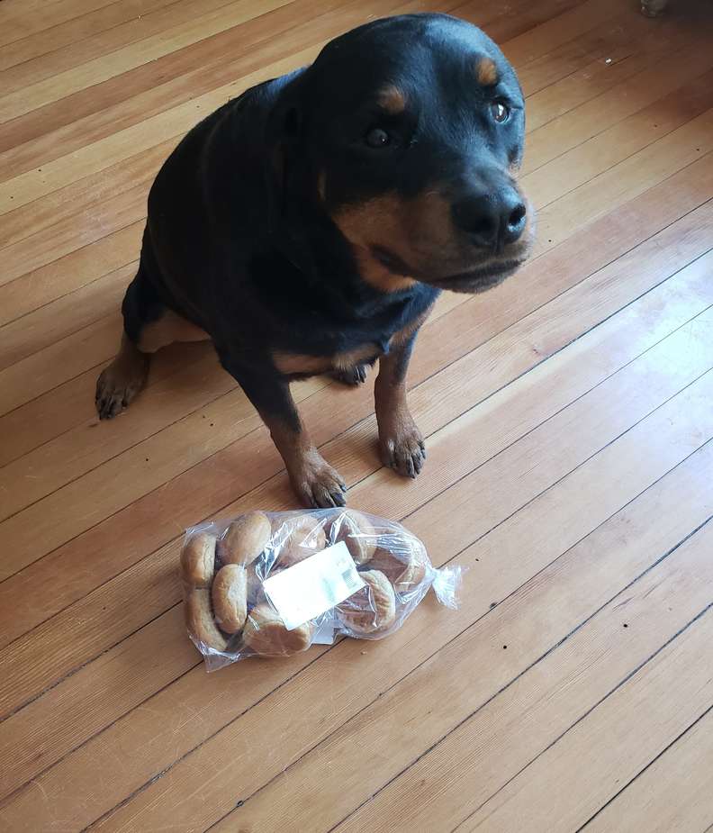 Jakey  e la confezione di pane