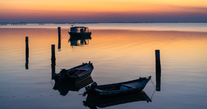 Rovigo, città delle Rose: piccola guida e una leggenda speciale