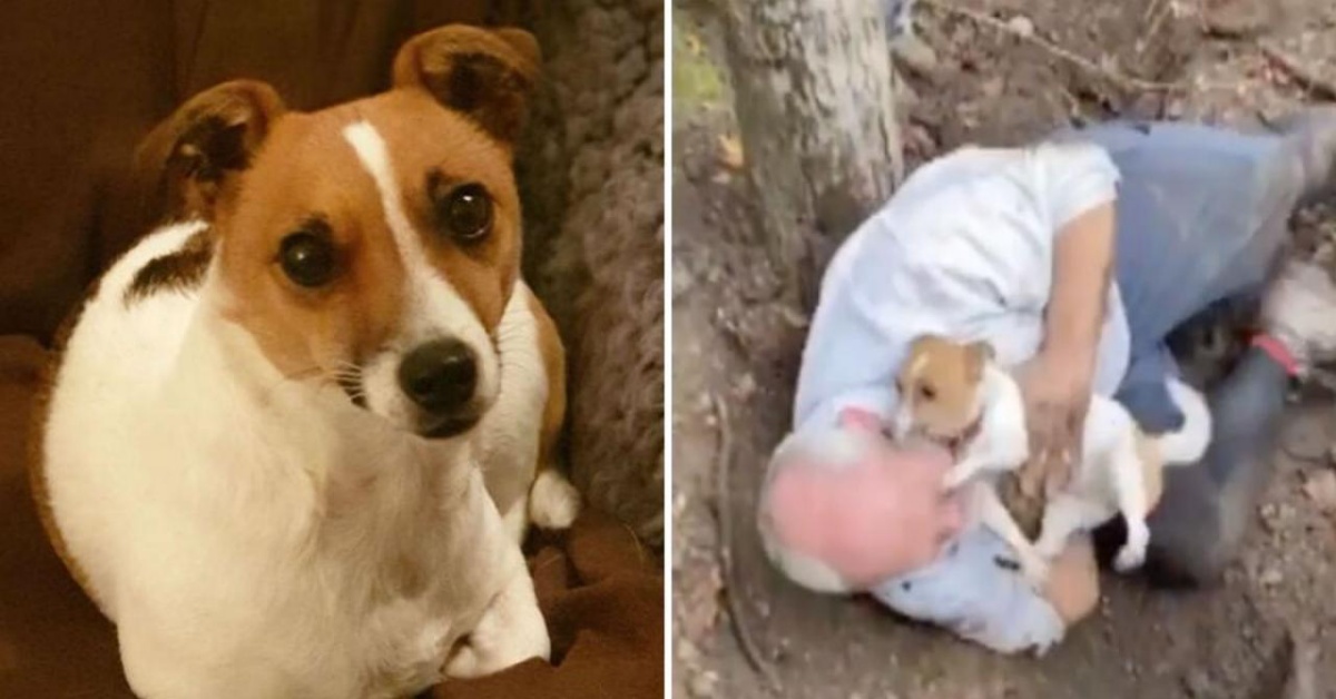 Mitzi è scomparsa per due giorni: la commovente riunione con il suo amico umano